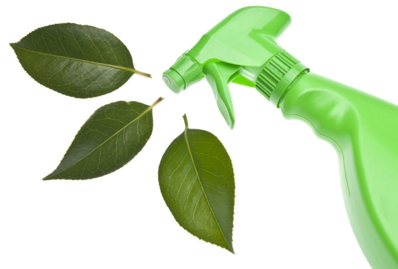 Eco-Friendly Commercial Cleaning in Panama