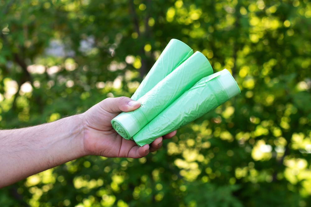 biodegradable popsicle bolsas