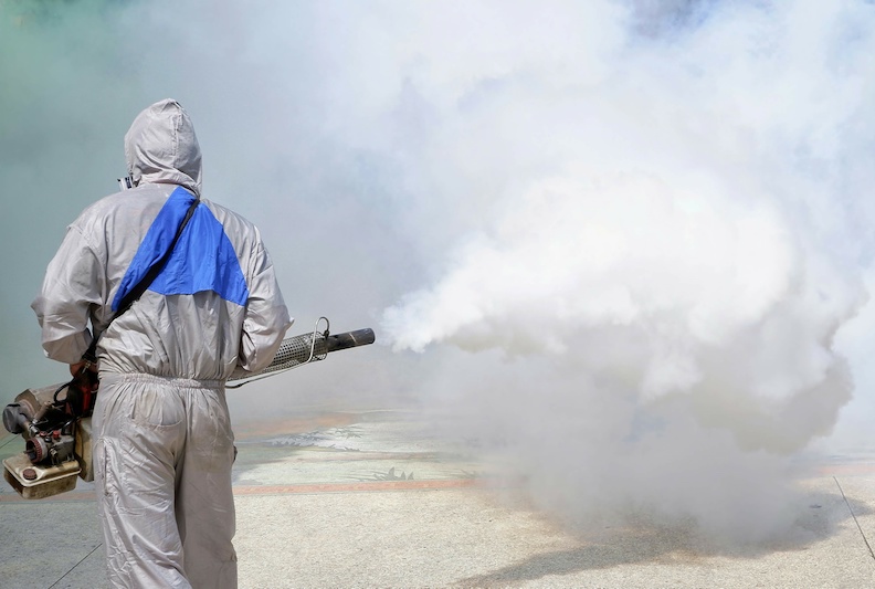 empresas fumigadoras en panamá | Pest control companies in Panama