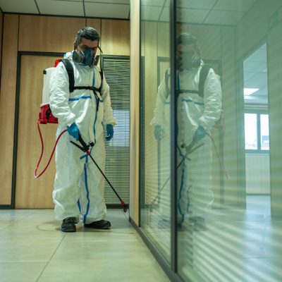 servicio de fumigación en Panamá